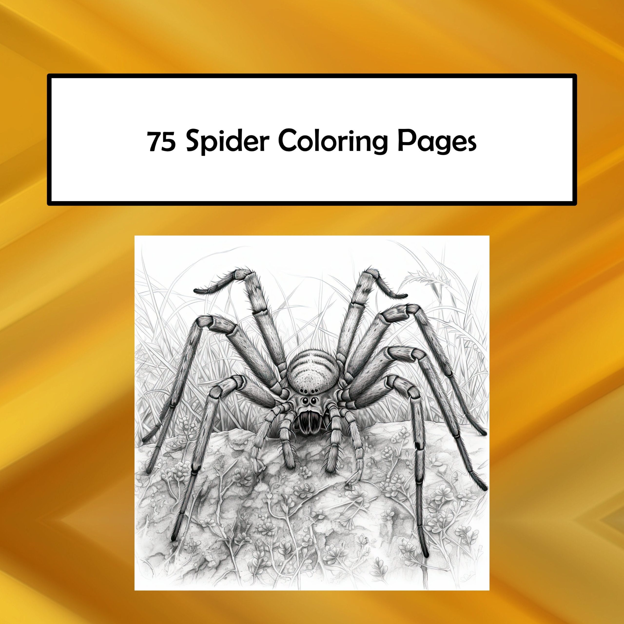 Araignées : Des coloriages captivants pour tous les âges