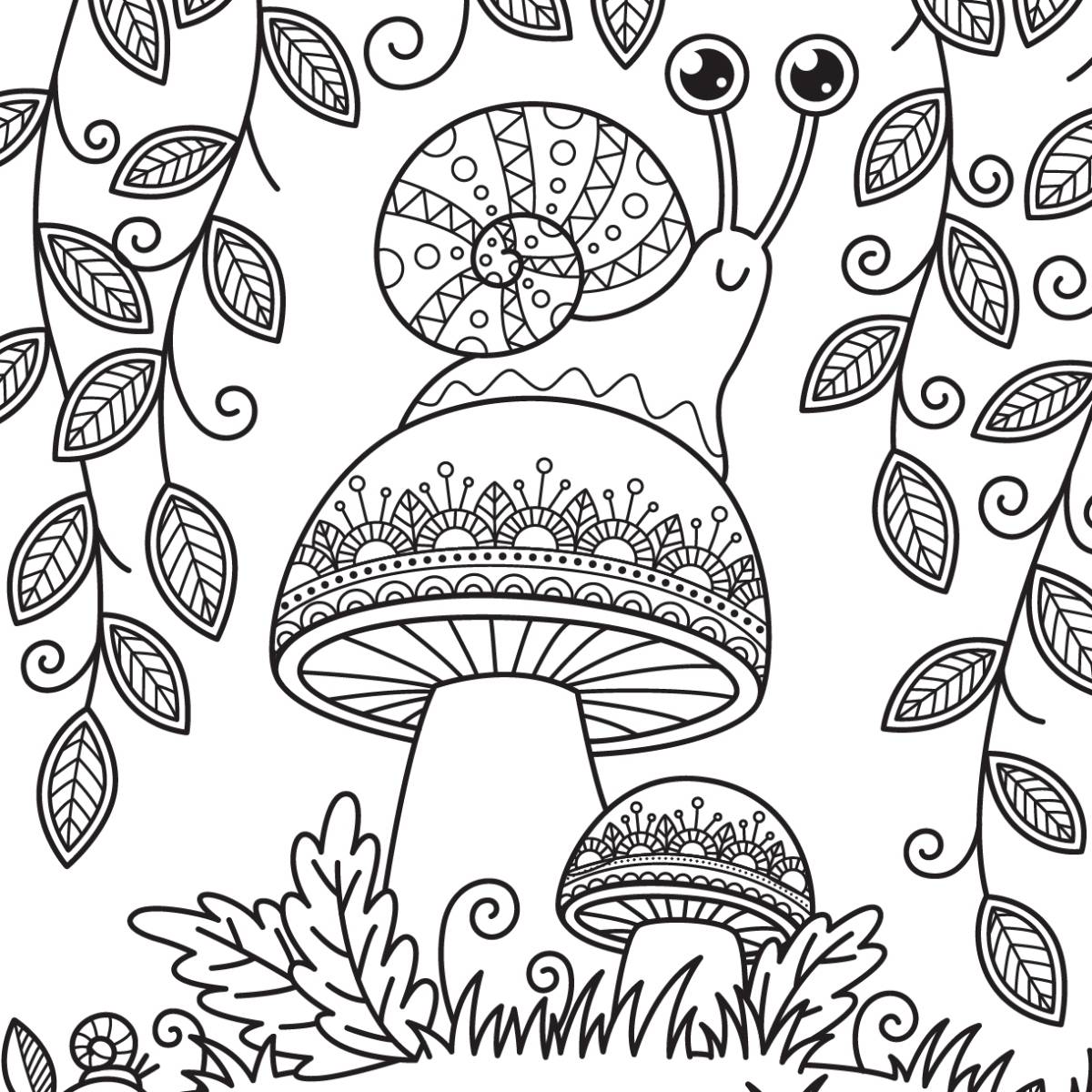 Champignon : Idées de coloriage pour enfants et adultes