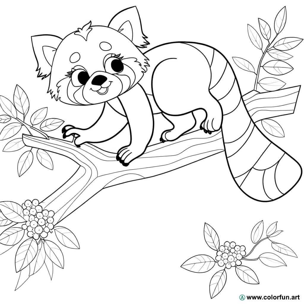 Coloriage Panda Roux : Créativité et Détente