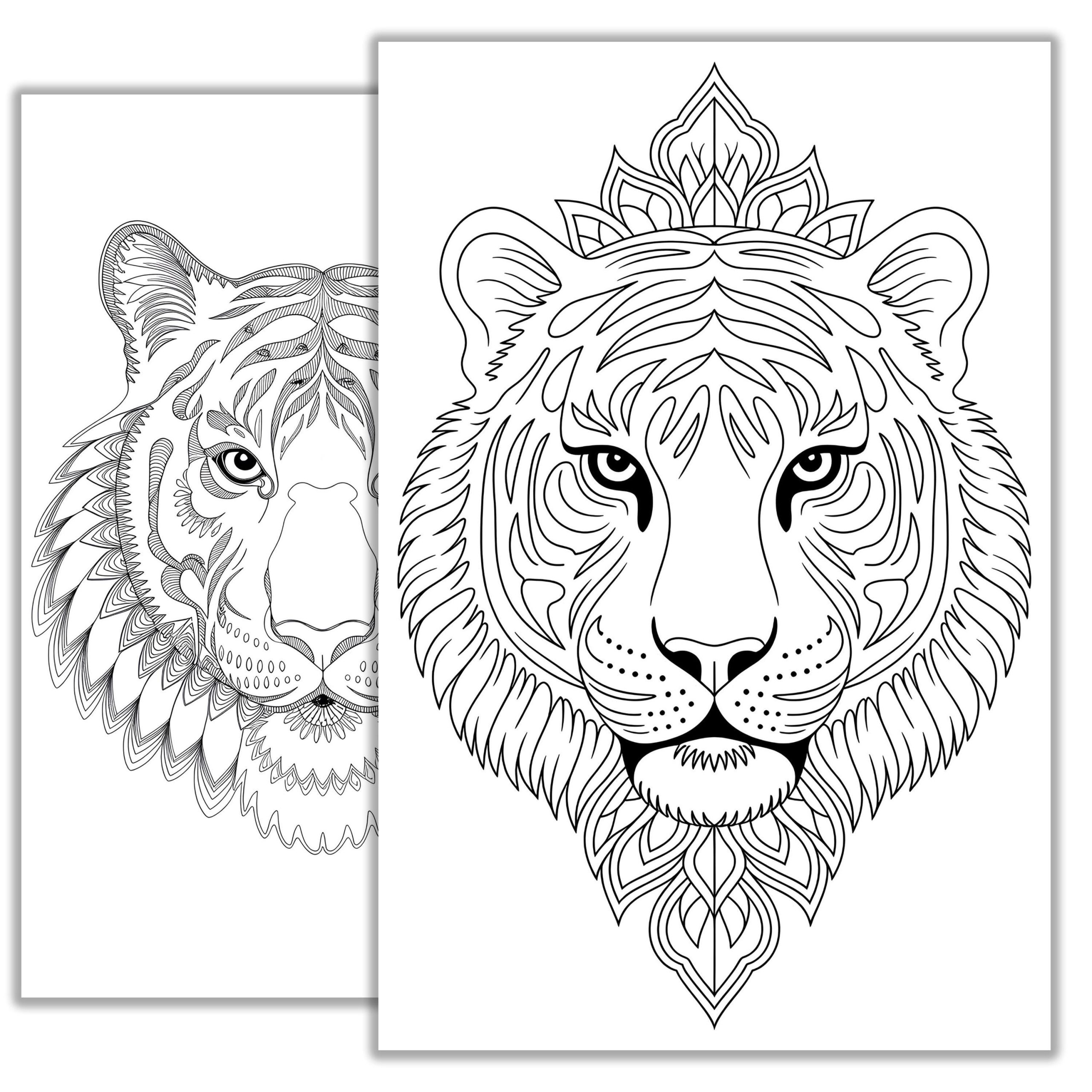 Coloriage Tigre : Créativité et Détente pour Tous