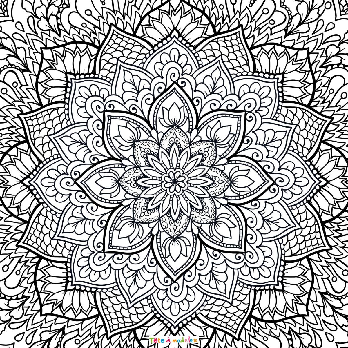 Coloriages Adulte : Un Art-Thérapie Apaisant et Créatif