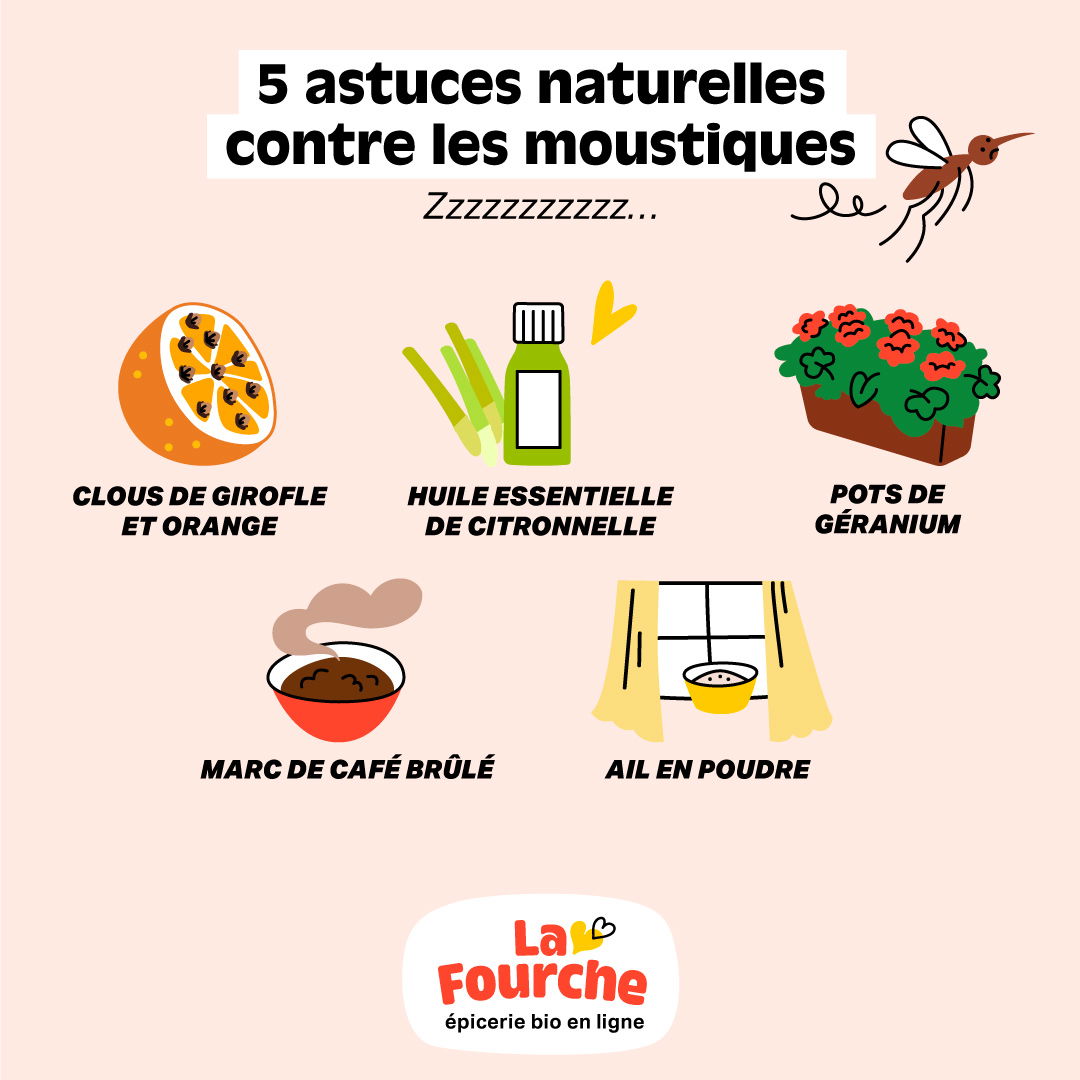 Découvrez les Rapaces : Solutions et Astuces pour les Mo...