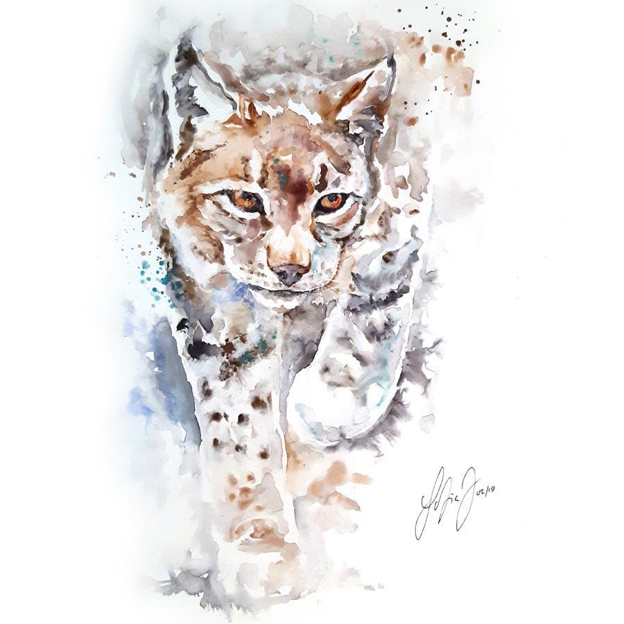 Dessin Animal : Art, Passion et Techniques