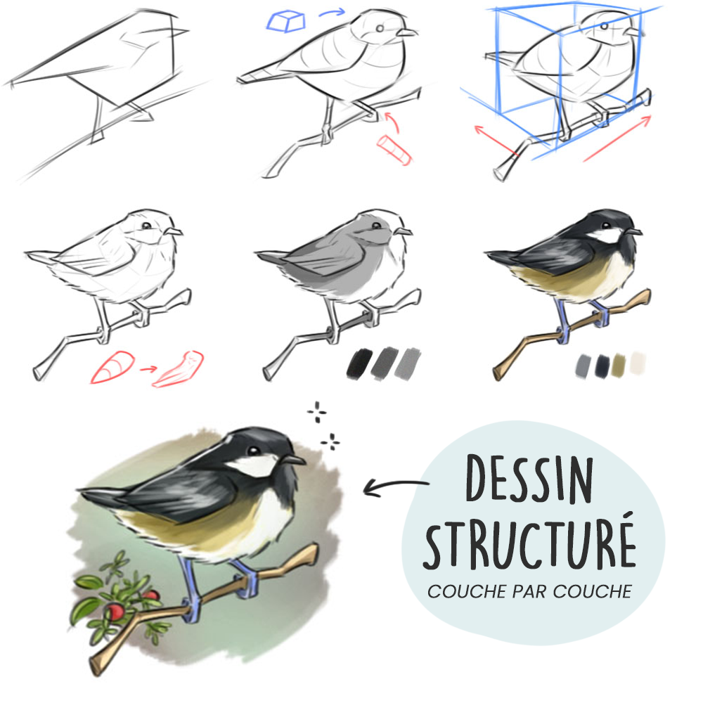 Dessiner Facilement : Guide Complet pour Débutants