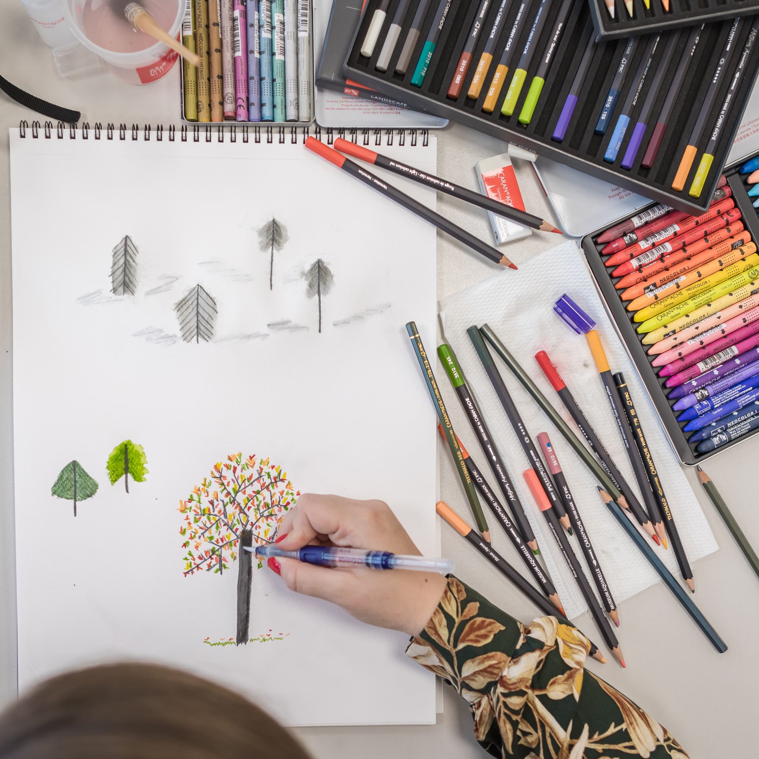 Images pour dessin : sources, outils et techniques
