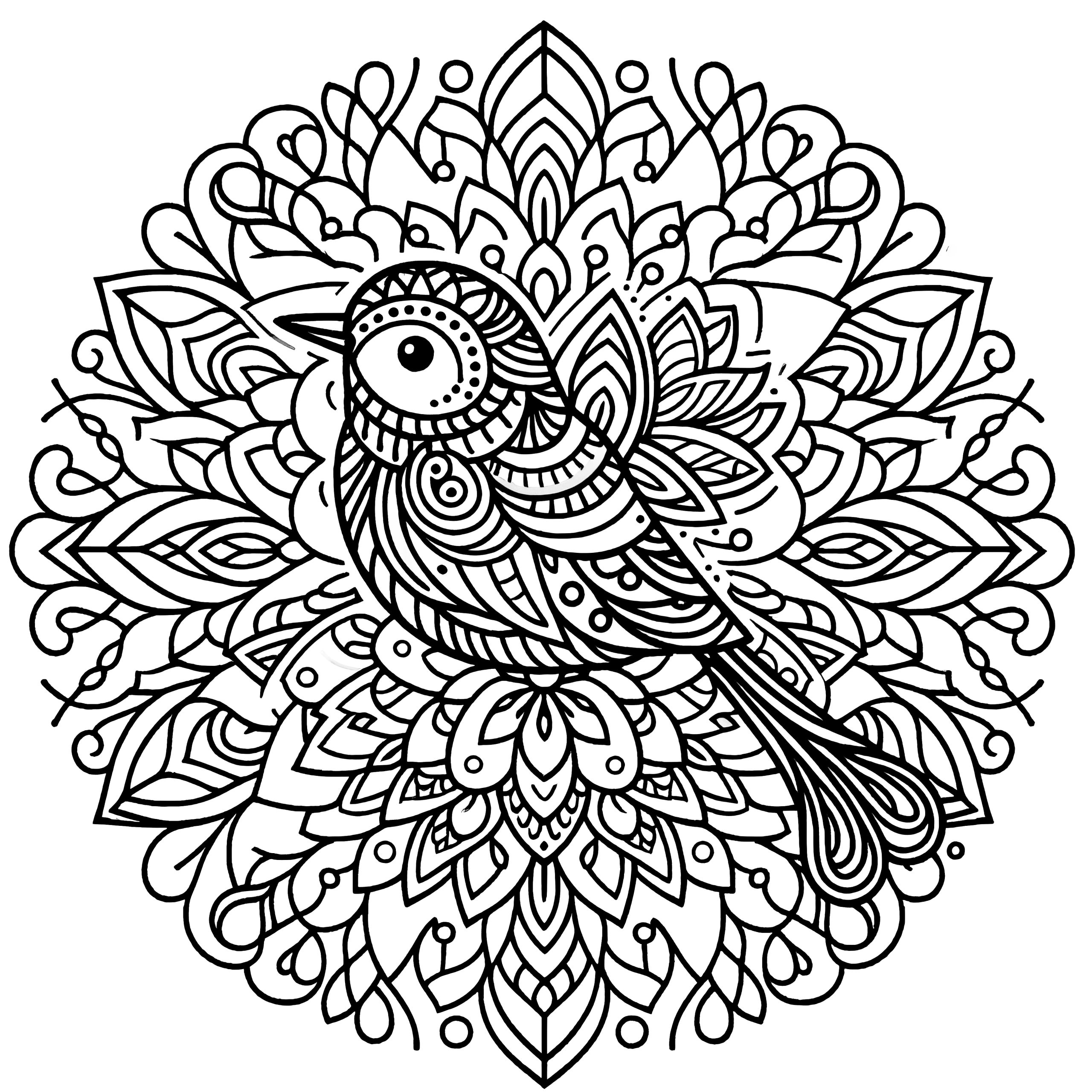 Oiseau Coloriage : Créativité et Détente pour Tous les...
