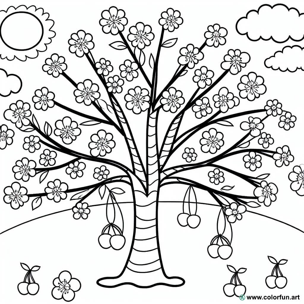 cerisier coloriage