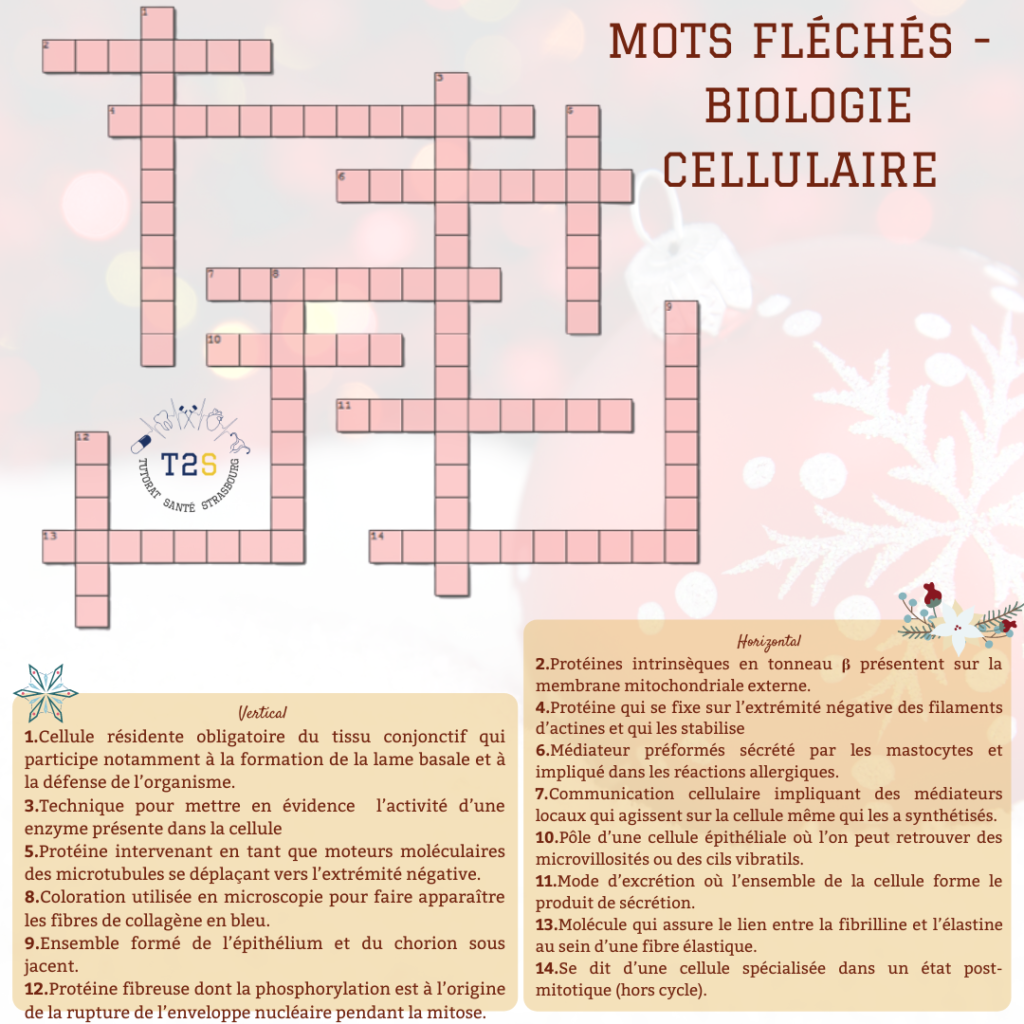 coloration mots fléchés