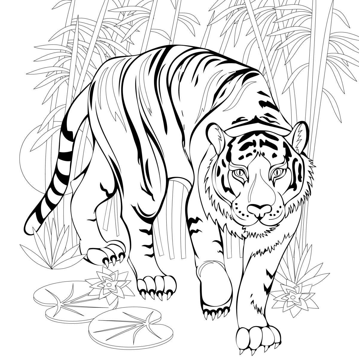 coloriage à imprimer tigre