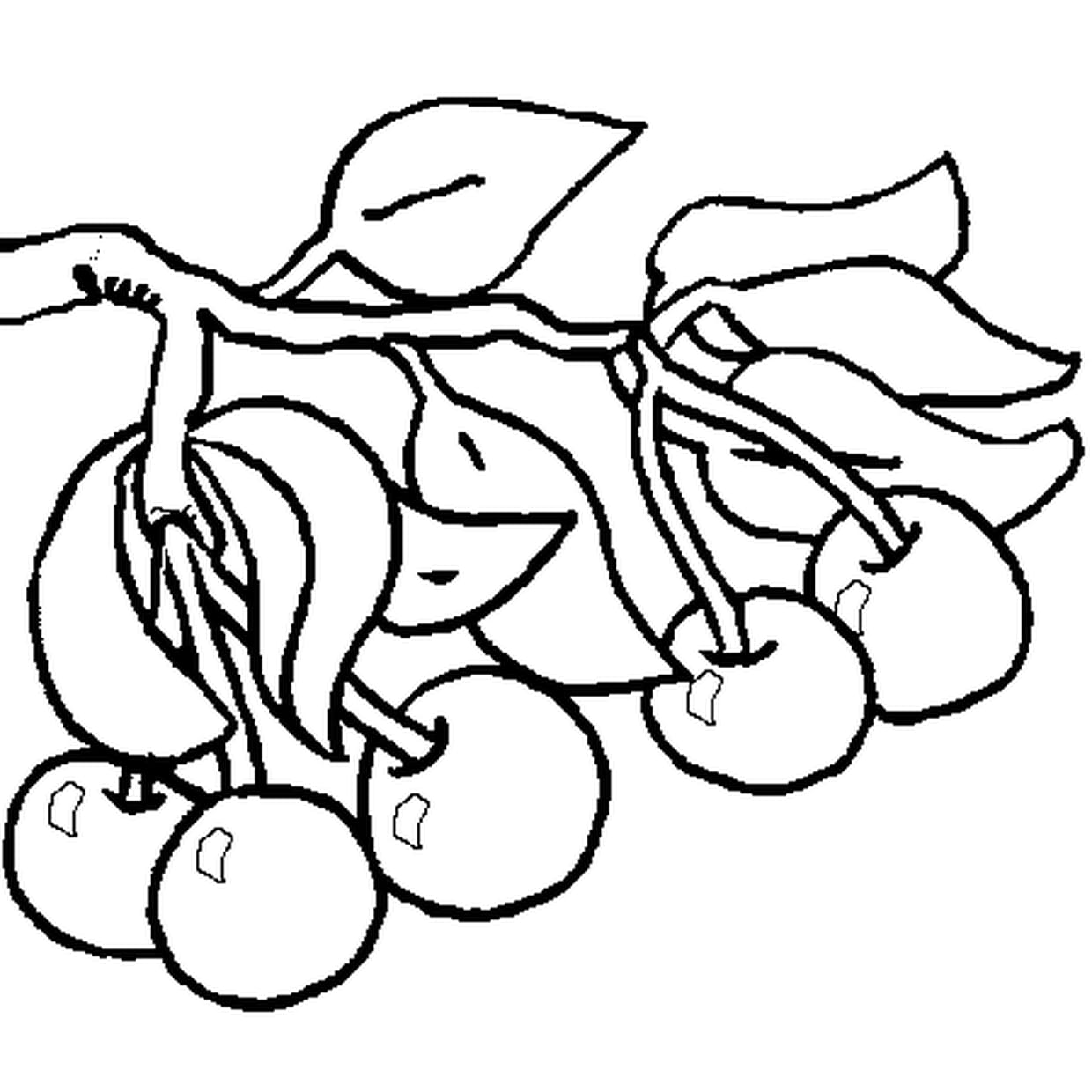 coloriage cerises