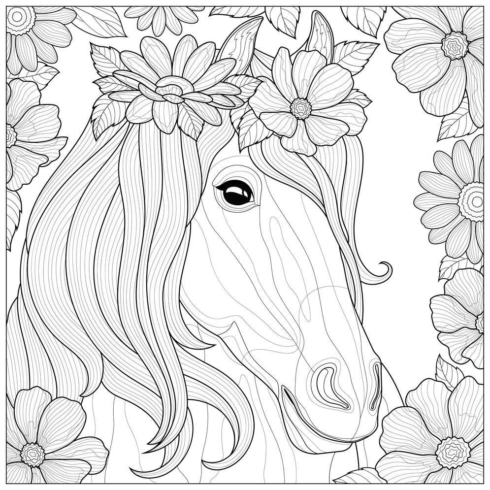 coloriage de chevaux