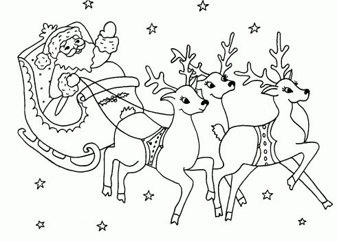 coloriage des rennes du pere noel