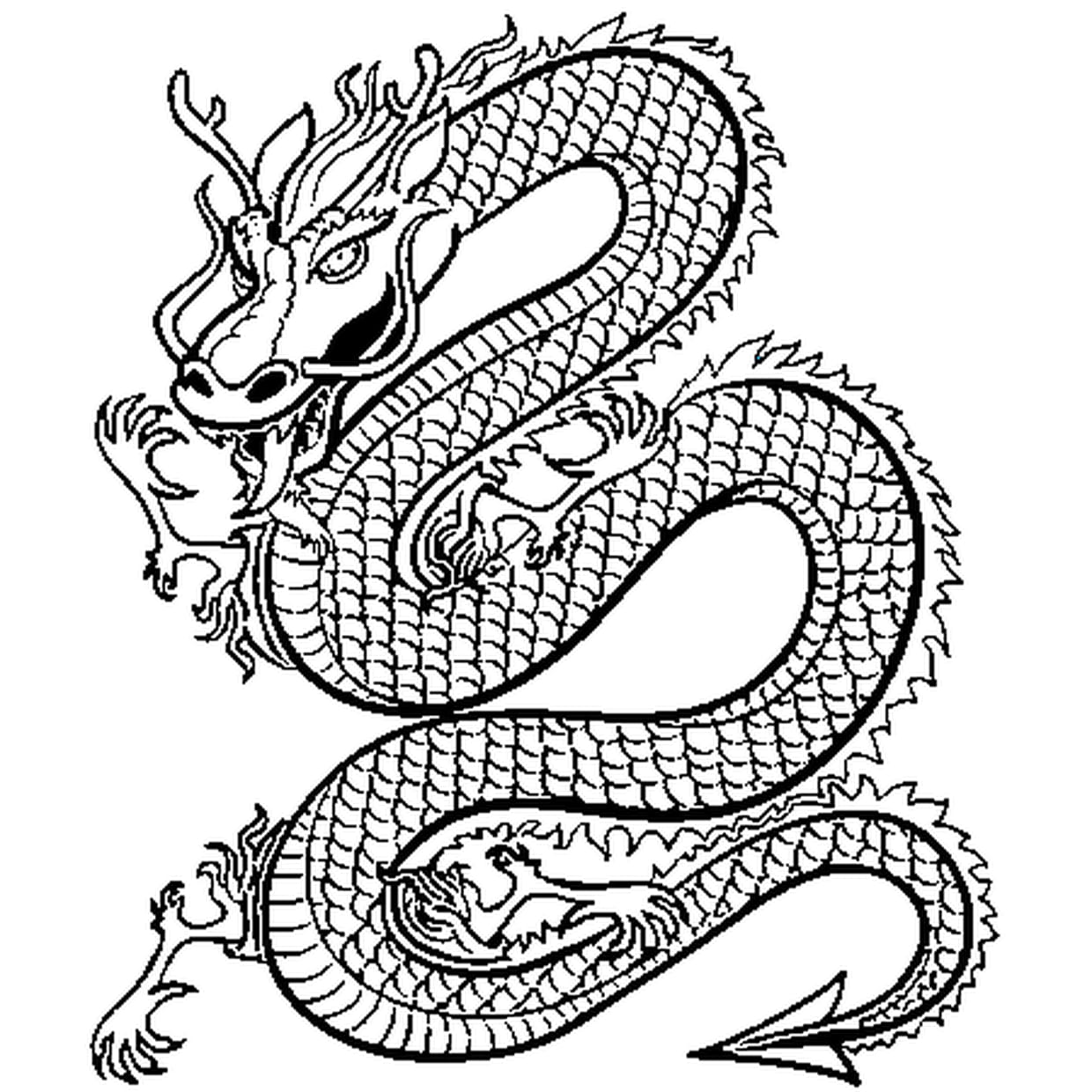 coloriage dragon chinois