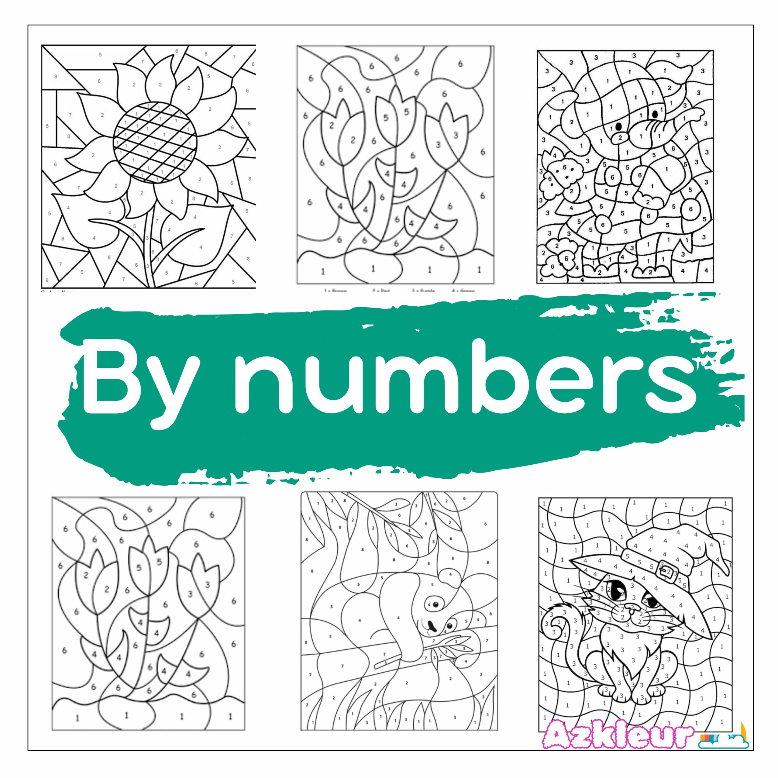 coloriage numéroté adulte gratuit