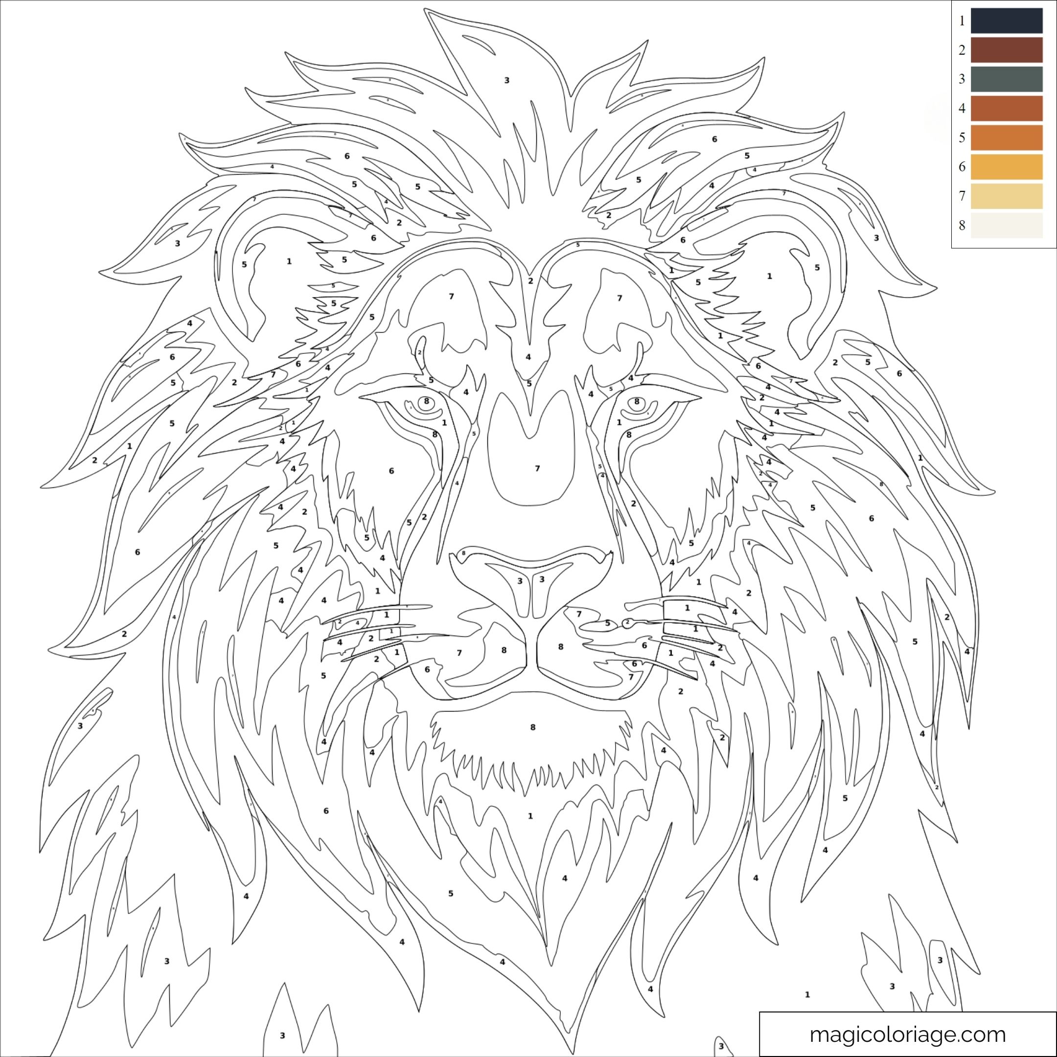 coloriage numéroté adulte pdf
