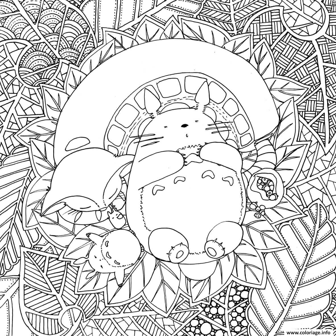 coloriage totoro