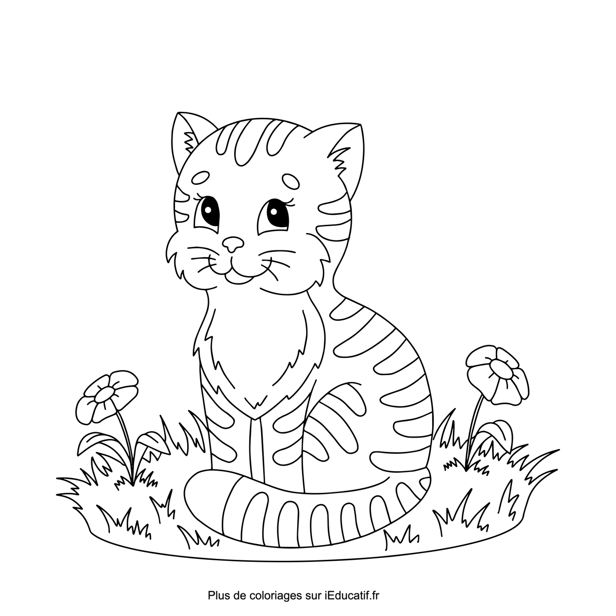 coloriages chat
