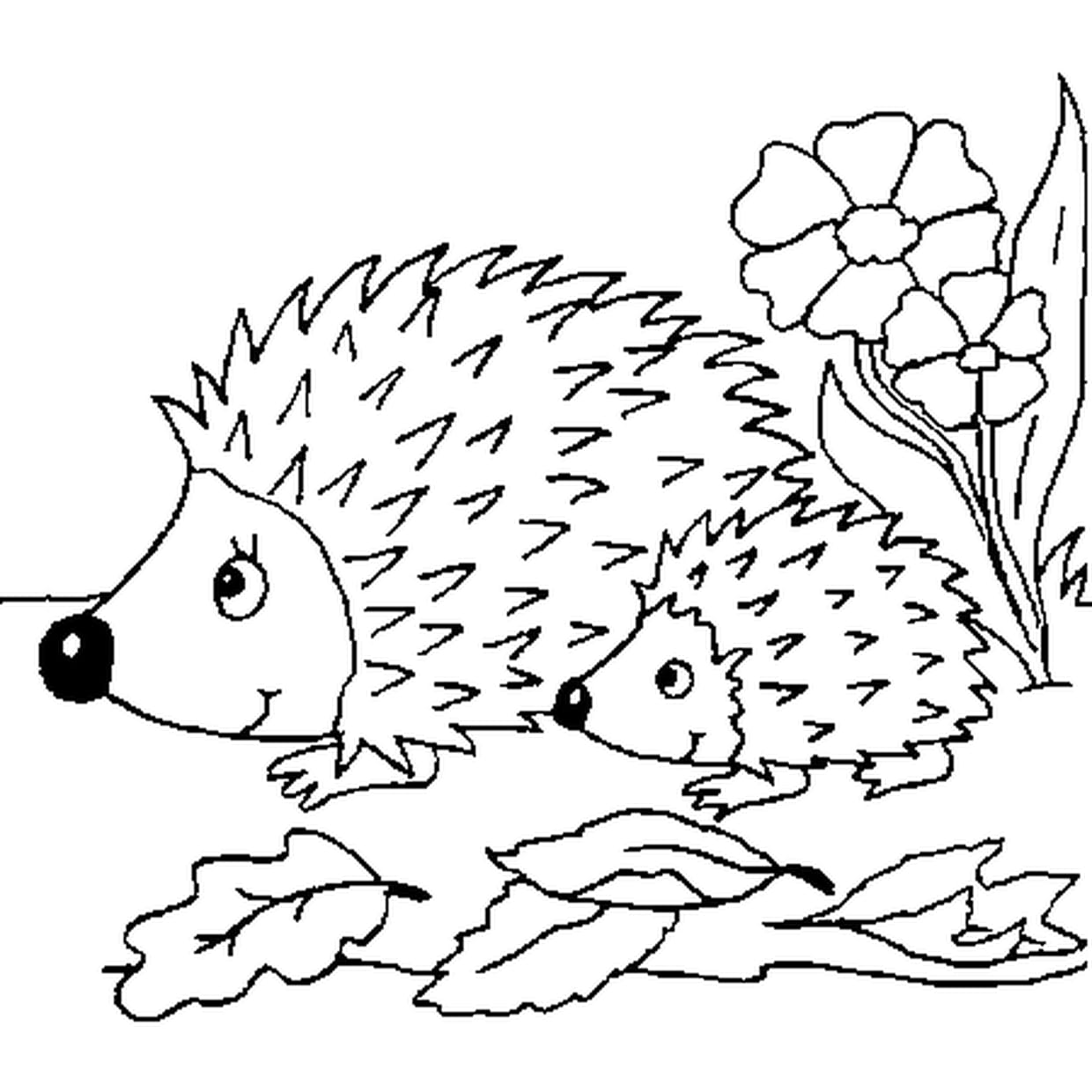coloriages hérisson