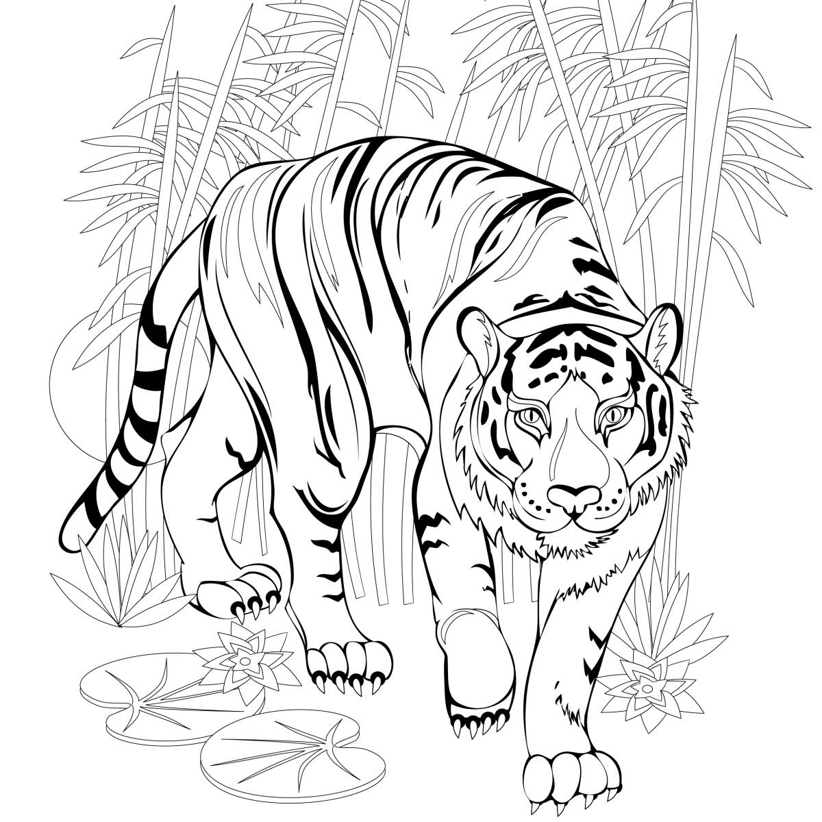 coloriages jungle