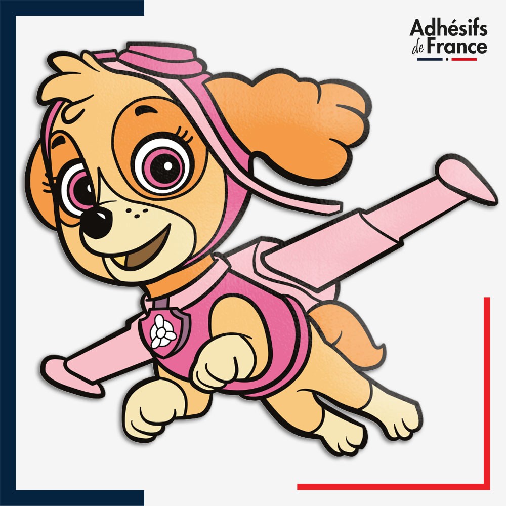 dessin pat patrouille en couleur