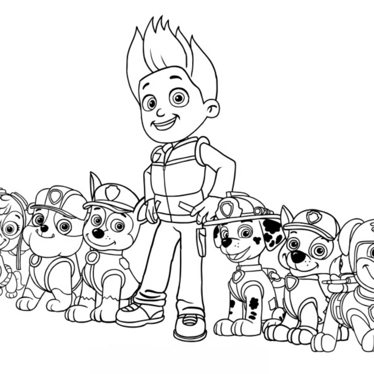 dessin pat