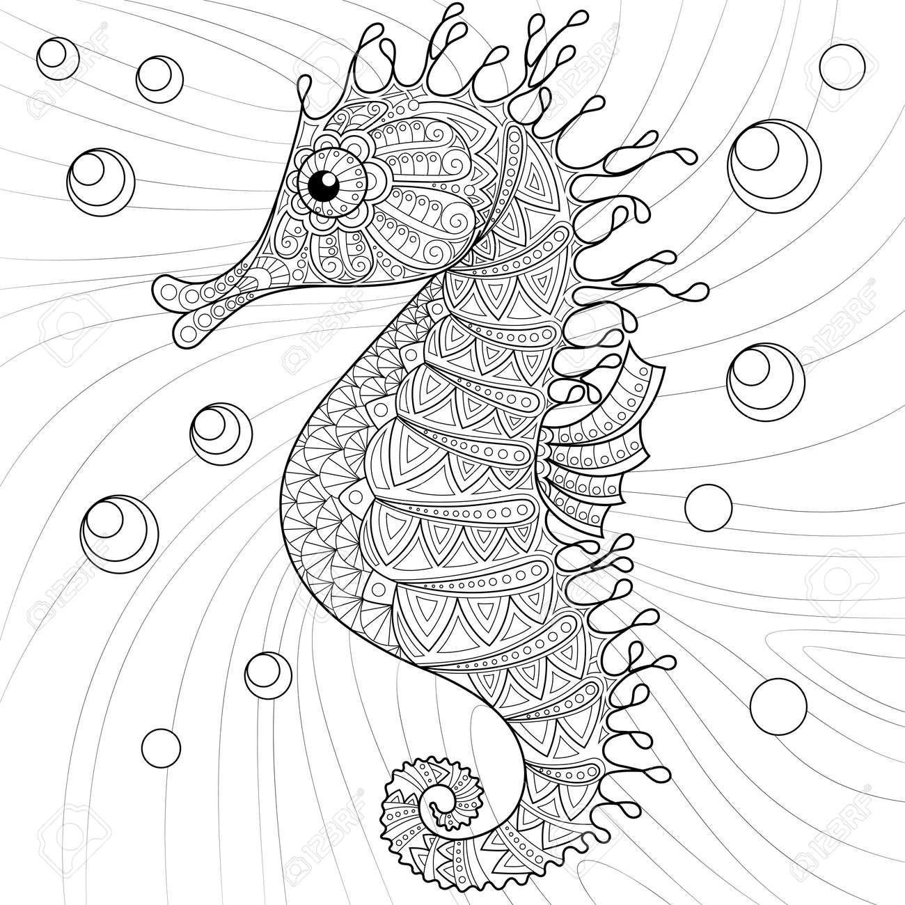 coloriage hippocampe