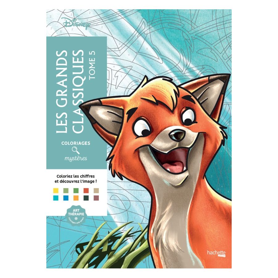 livre coloriage mystere