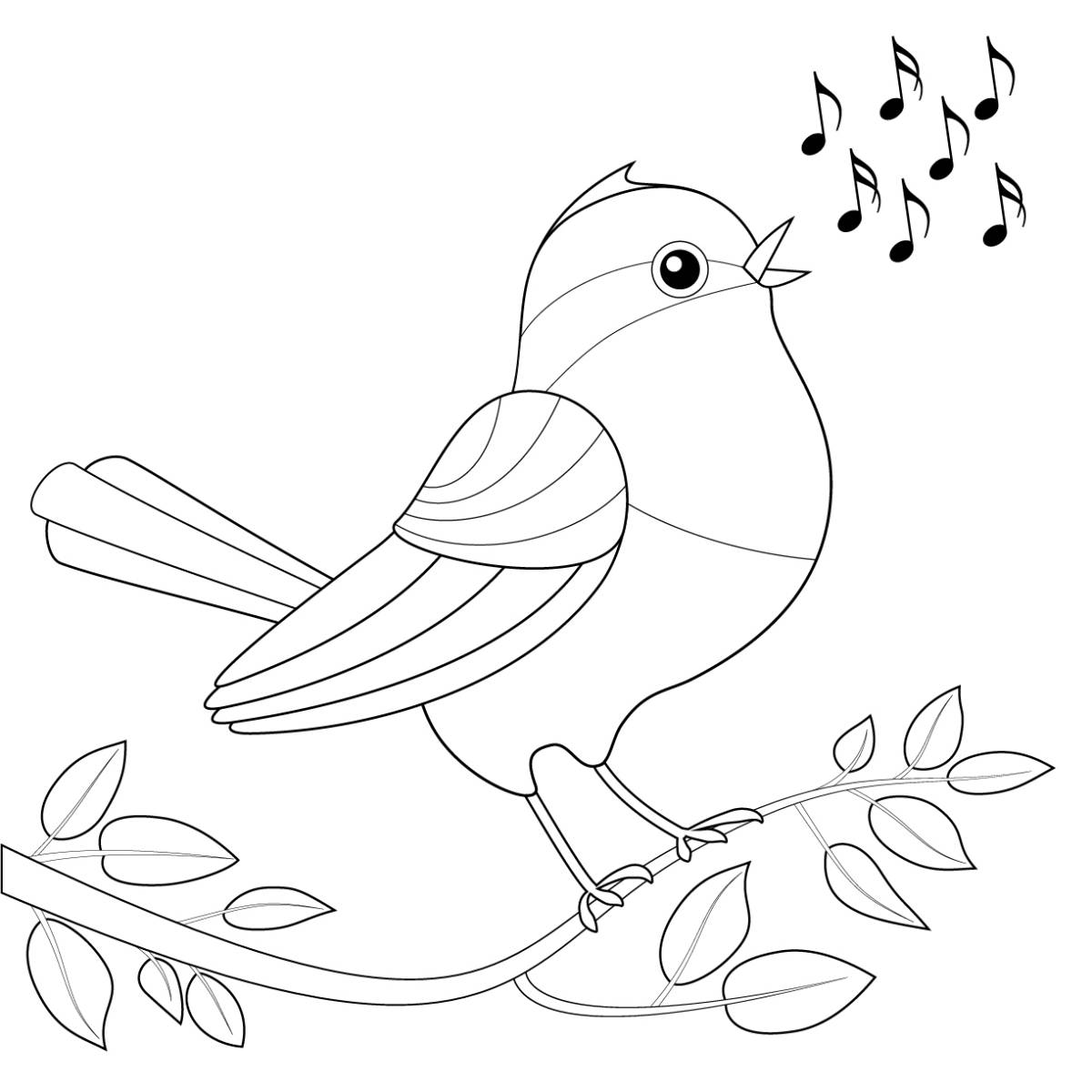 coloriage oiseaux